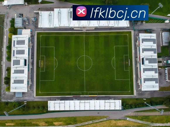 hth华体育官网平台生态图